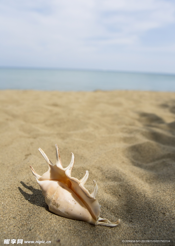 海岛沙滩     