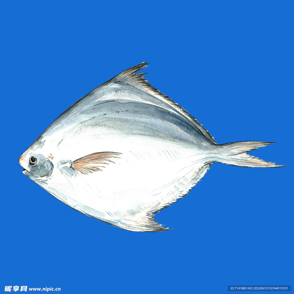 卡通鱼