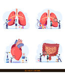 身体器官检查插画