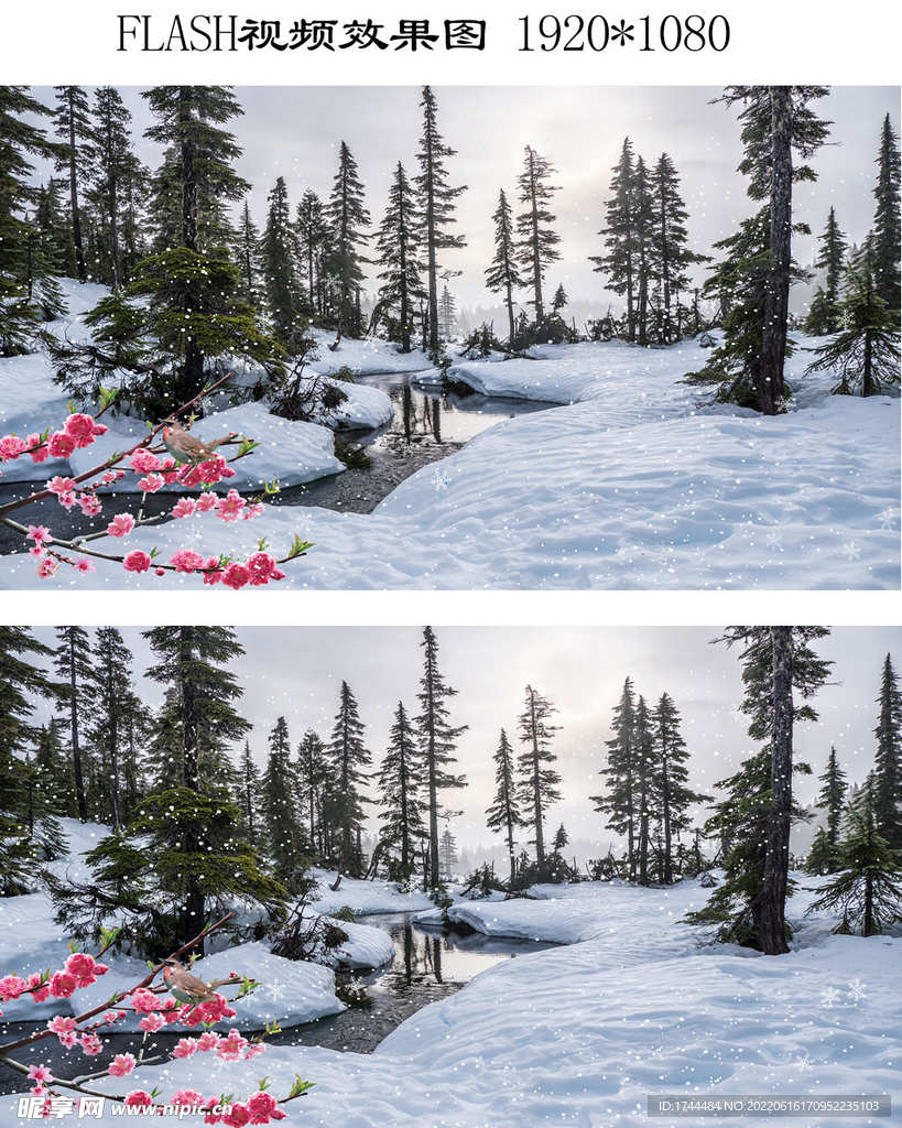 雪景雪松下雪视频