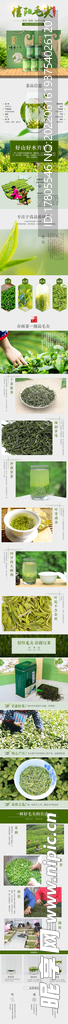 茶叶详情页  绿茶 绿色素材 