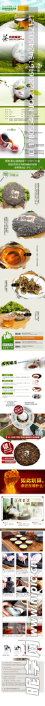 茶叶详情页  绿茶 绿色素材 