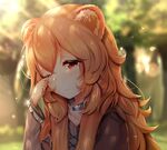 壁纸