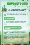 绿色常见的旱生植物仙人掌海报