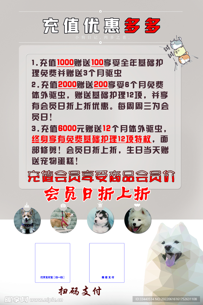 宠物店充值活动