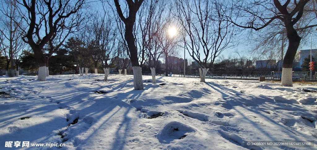 雪后冬韵