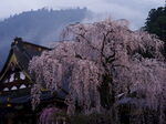 久远寺
