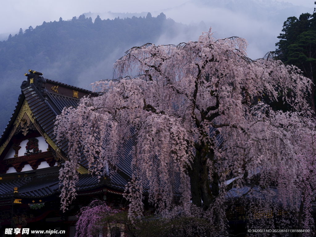 久远寺
