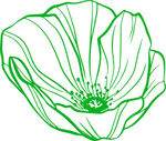 花形状