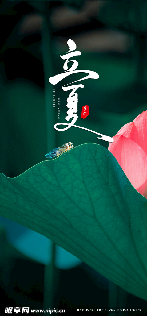 夏