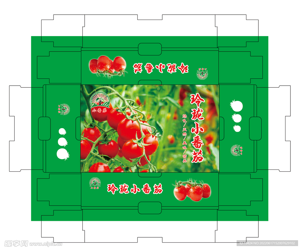玲珑小番茄 圣女果 釜山88