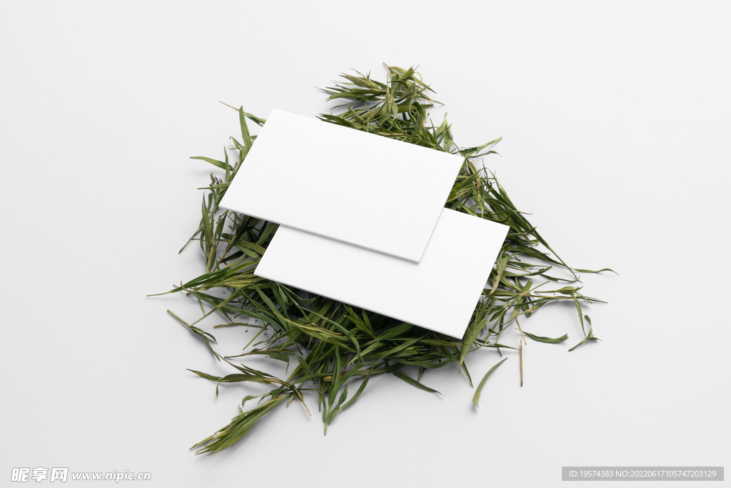 茶叶名片
