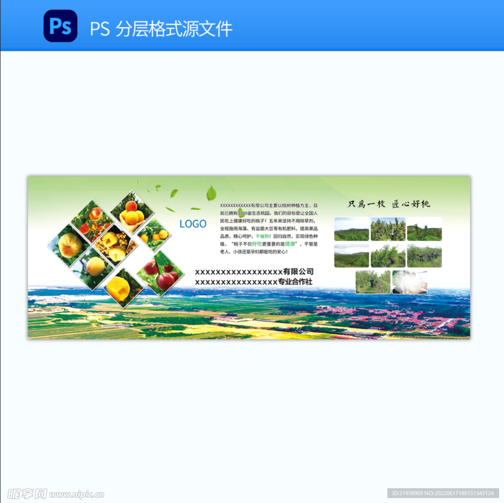 展板排版