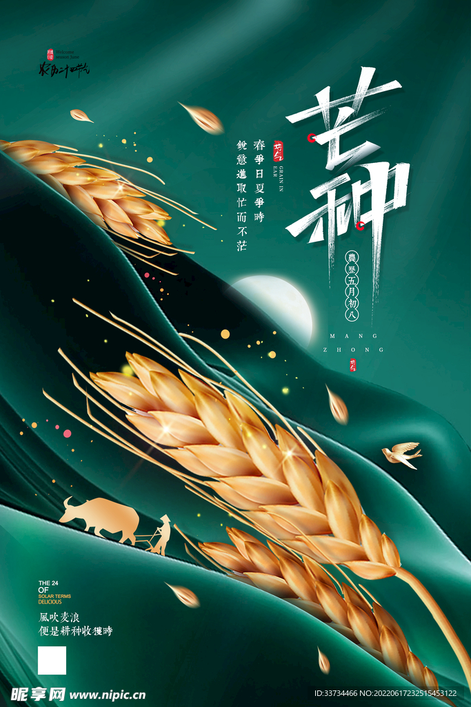 芒种