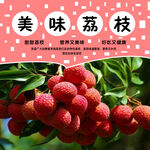 美味荔枝