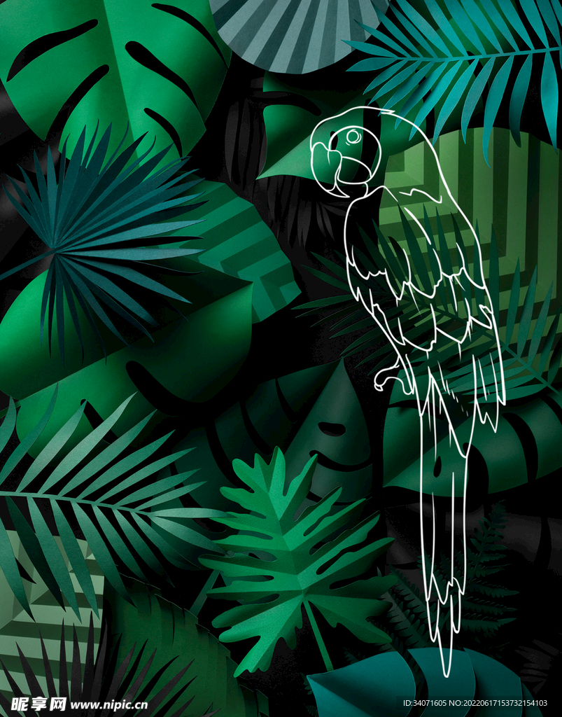 鹦鹉 绿植 绿色 插画 热带