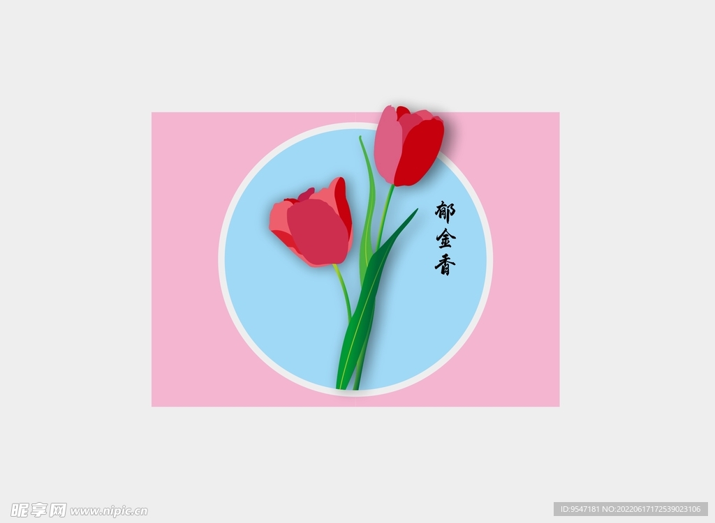 郁金香插画 手绘图片