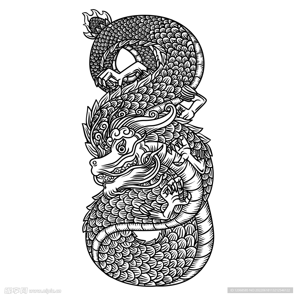 龙 