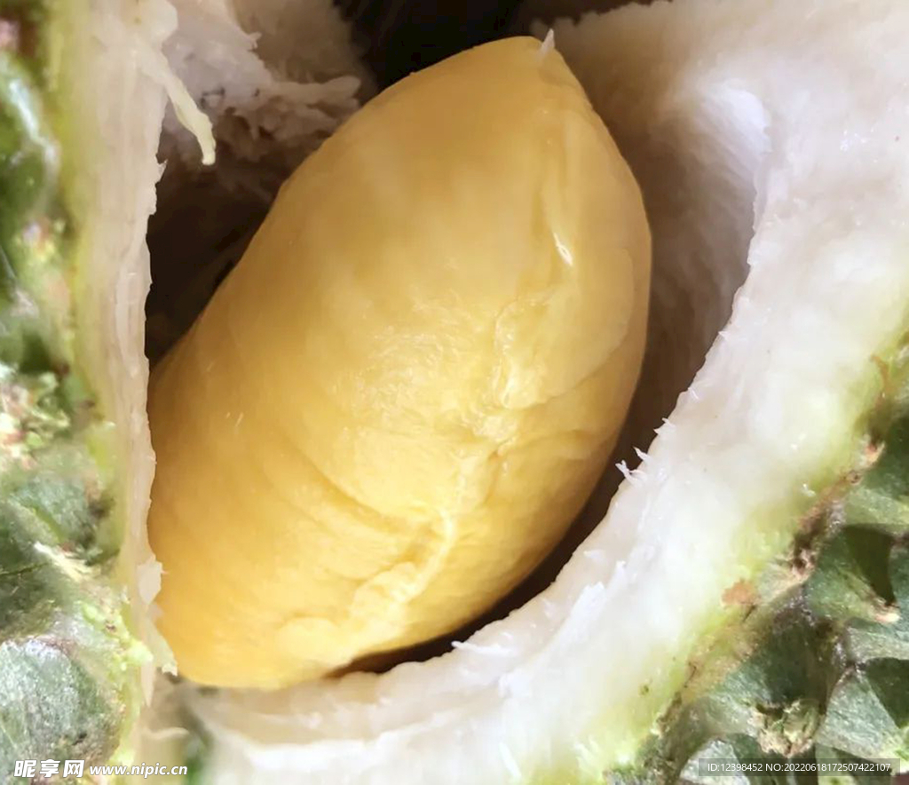 榴莲
