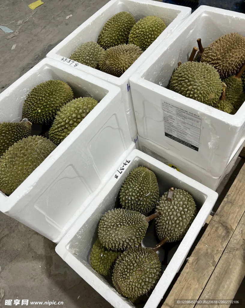 榴莲