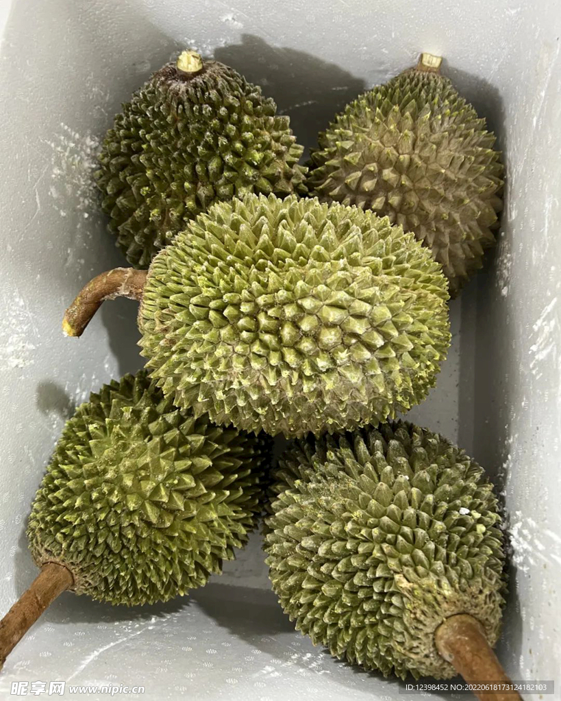 榴莲