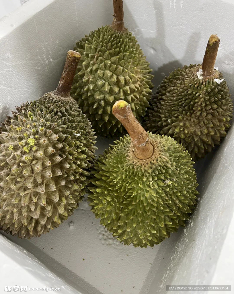 榴莲