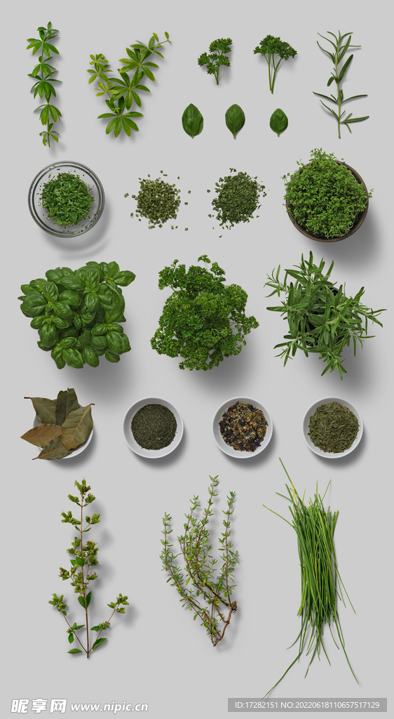 花草   盆景   树叶   