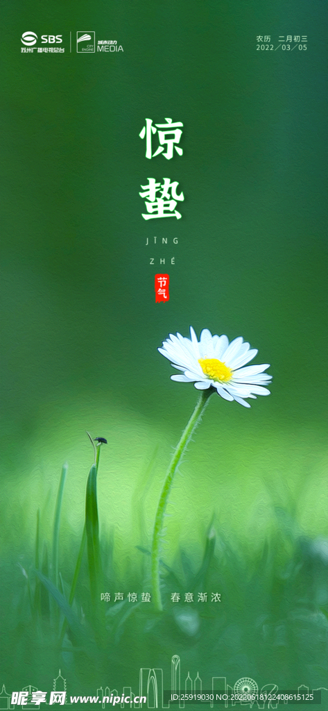 节气海报