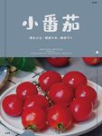 小番茄