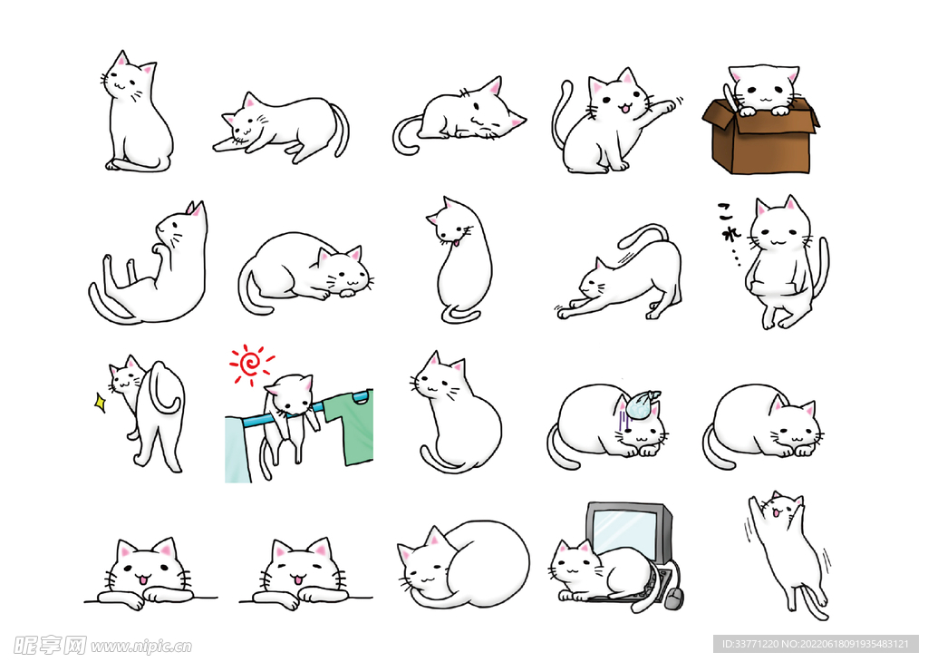 可爱猫咪