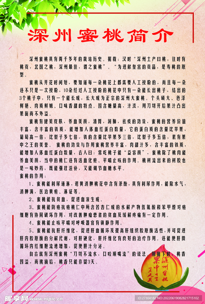 深州蜜桃 简介