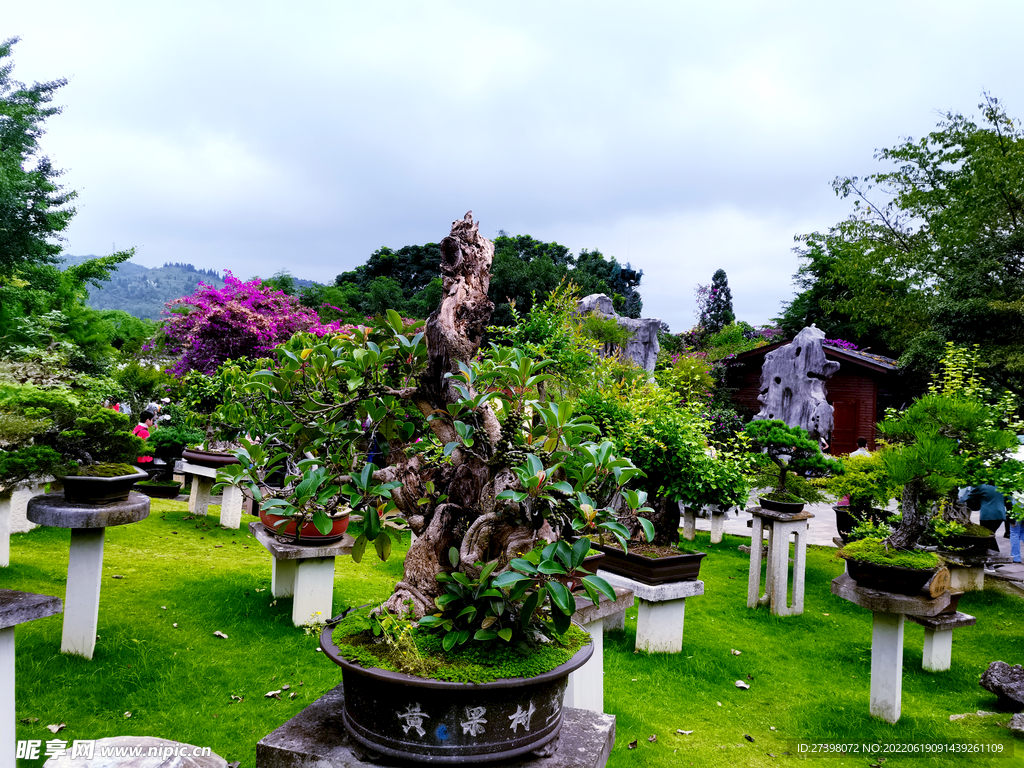 风景