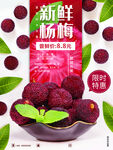 新鲜杨梅