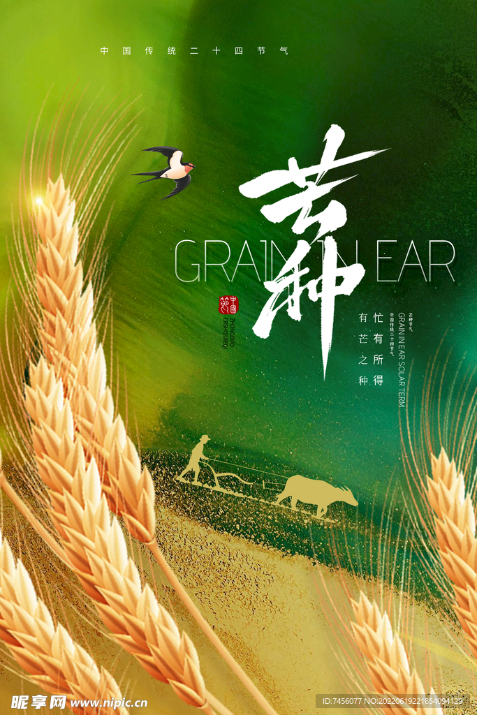 芒种宣传海报设计模板