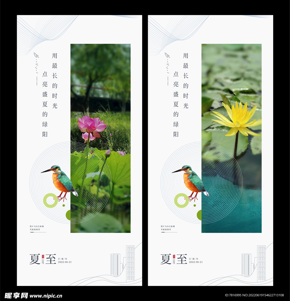 夏至翠鸟