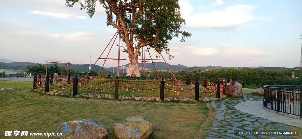 风景