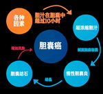 胆囊癌图解