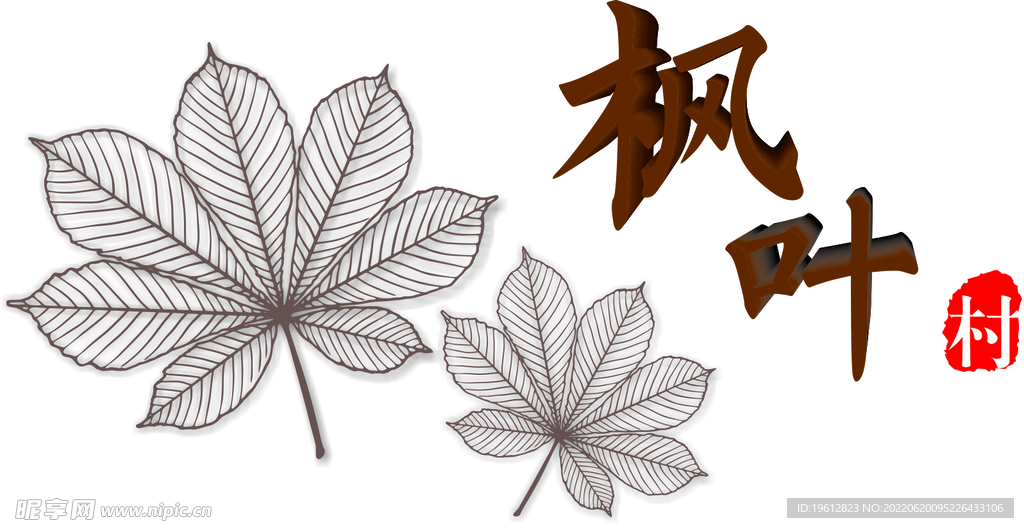 枫叶