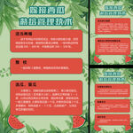 嫁接西瓜栽培管理农业技术海报