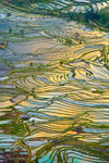 元阳哈尼梯田