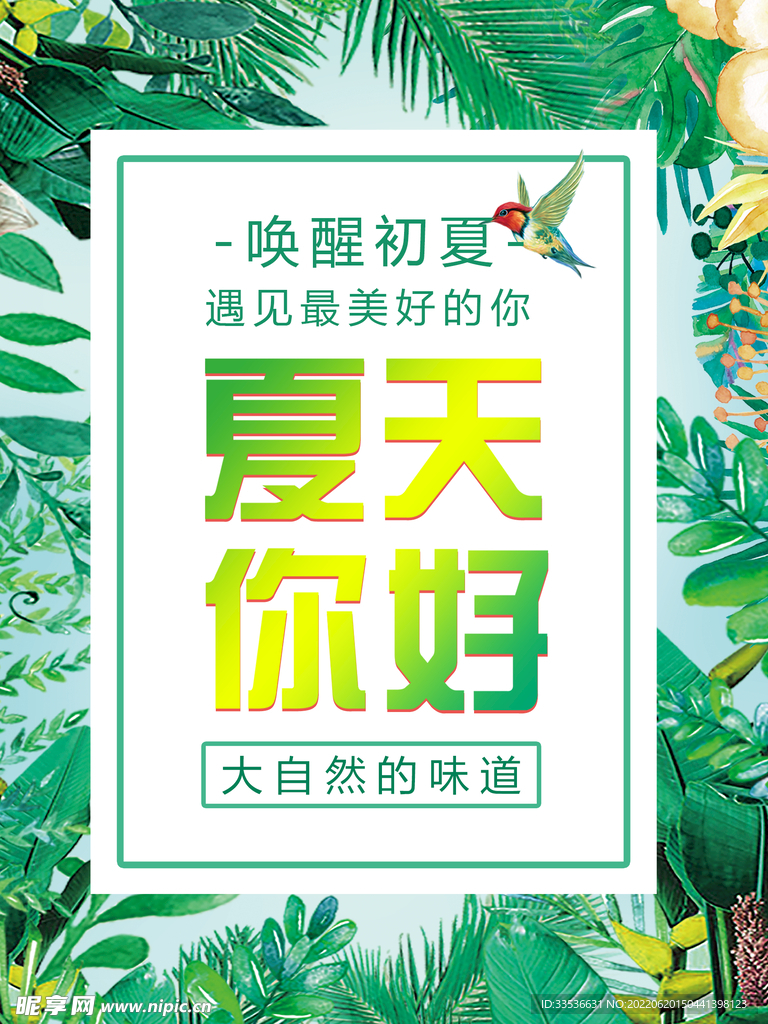 夏天你好