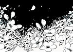 黑白花