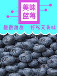 美味蓝莓