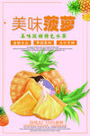 菠萝海报