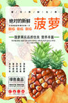 菠萝海报