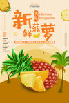 菠萝海报