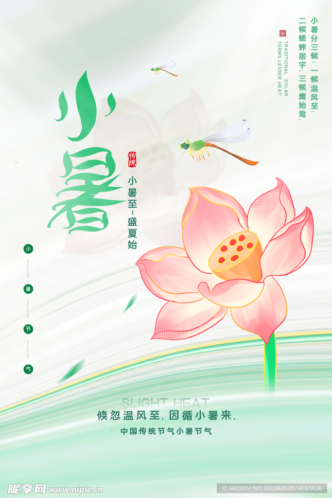小暑海报