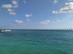 海
