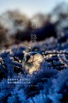 创意霜降风景写实宣传海报图片