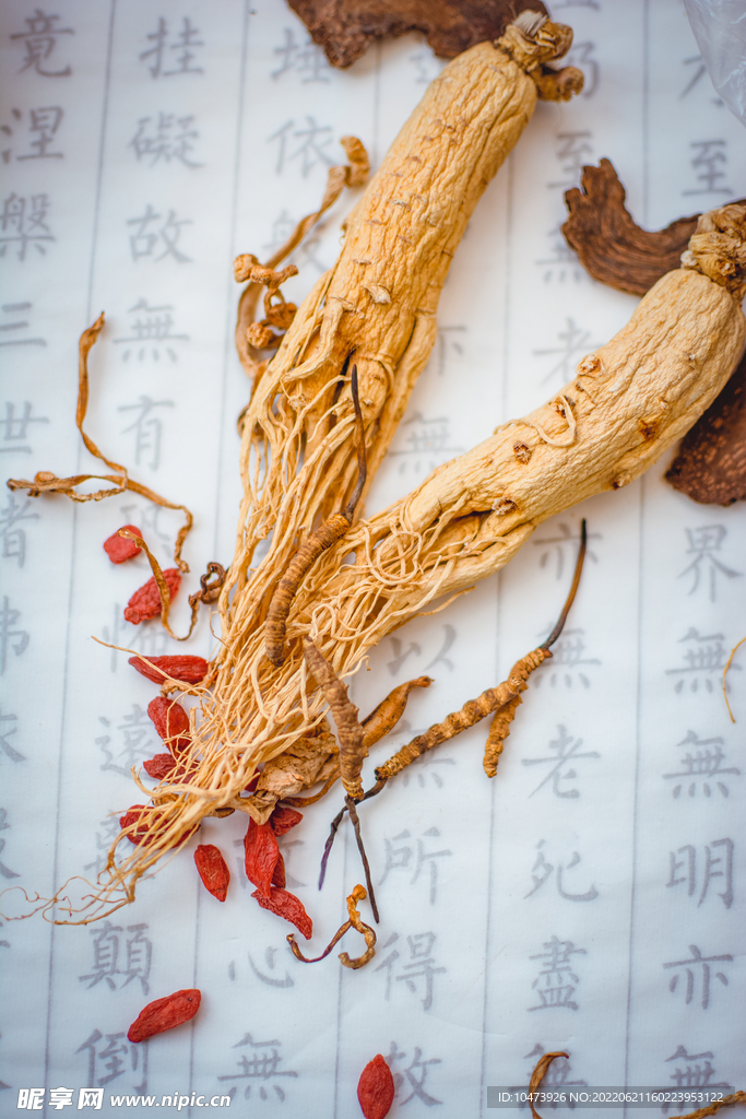 冬虫夏草人参滋补素材